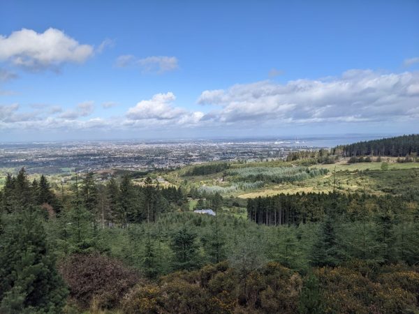 Dublin View